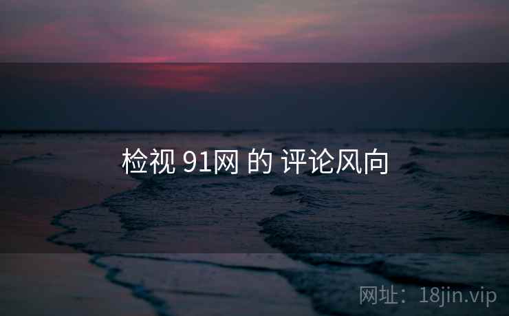 检视 91网 的 评论风向