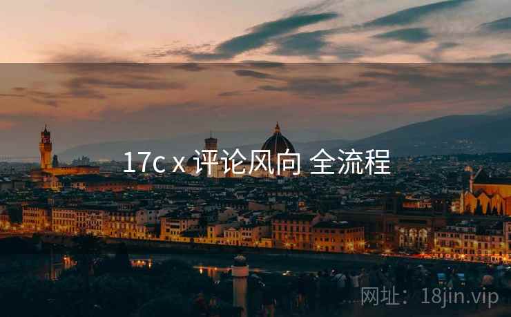 17c x 评论风向 全流程