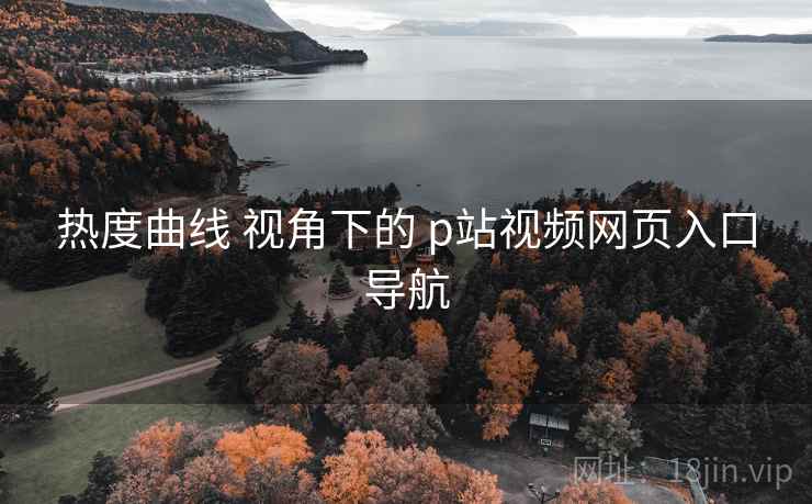 热度曲线 视角下的 p站视频网页入口导航
