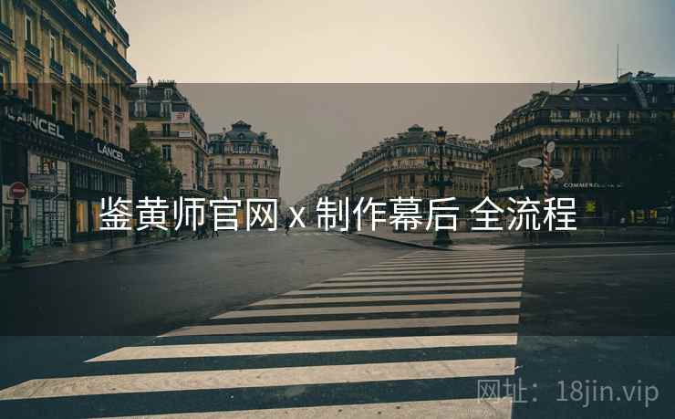 鉴黄师官网 x 制作幕后 全流程