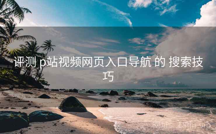 评测 p站视频网页入口导航 的 搜索技巧